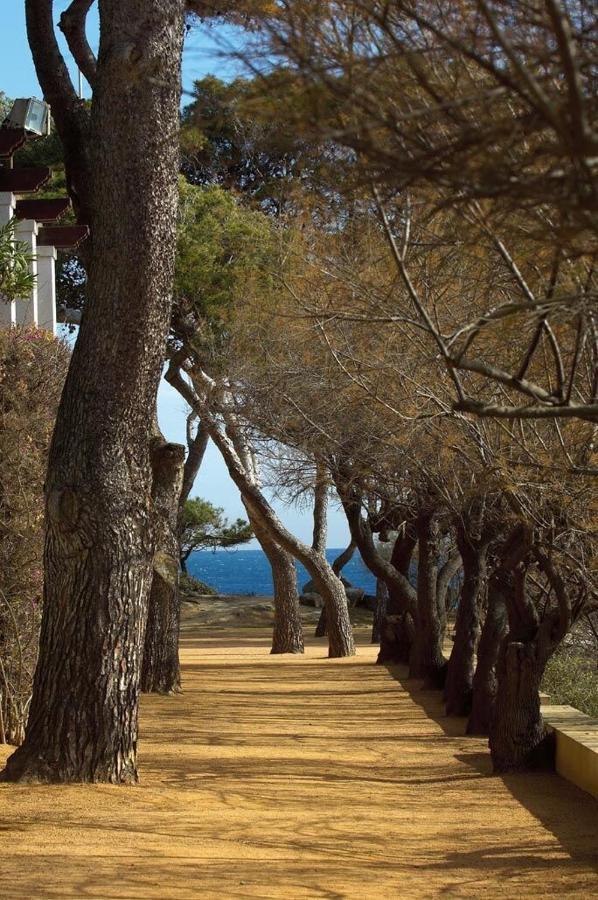 Ridaura Center Apartment Platja d'Aro Dış mekan fotoğraf